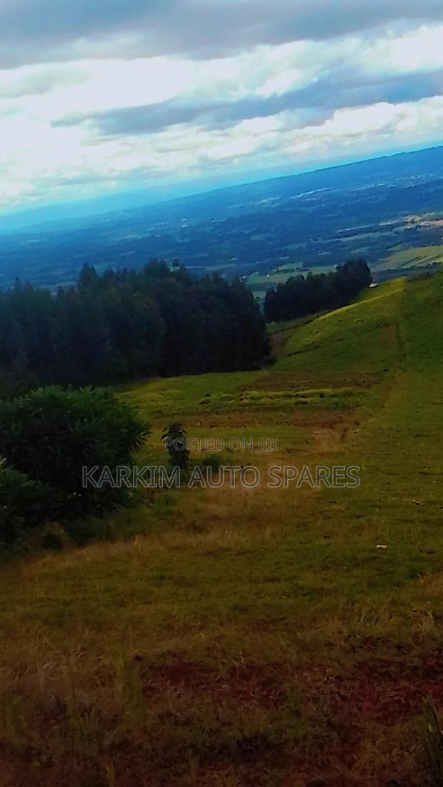 Land Selling - thumbnail 6