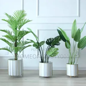 3 PCS Flower Pot