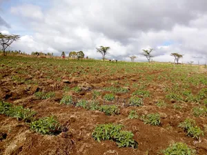 103 Acres of Land