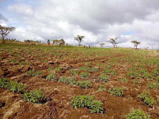 103 Acres of Land