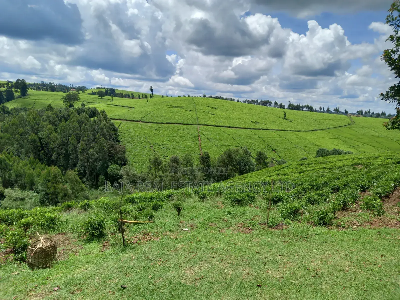 Cianda 4.5 Acres