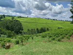 Kiambaa, Kimorori Land Sale 4.5 Acres