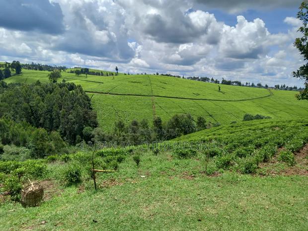 Kiambaa, Kimorori Land Sale 4.5 Acres