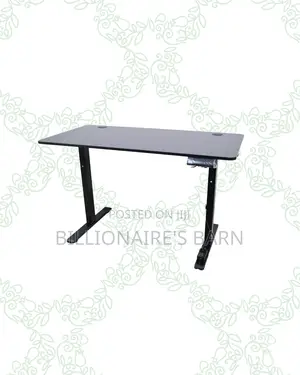 Transform Productivity -Standing Desk Clean Cable-Friendly Workspace