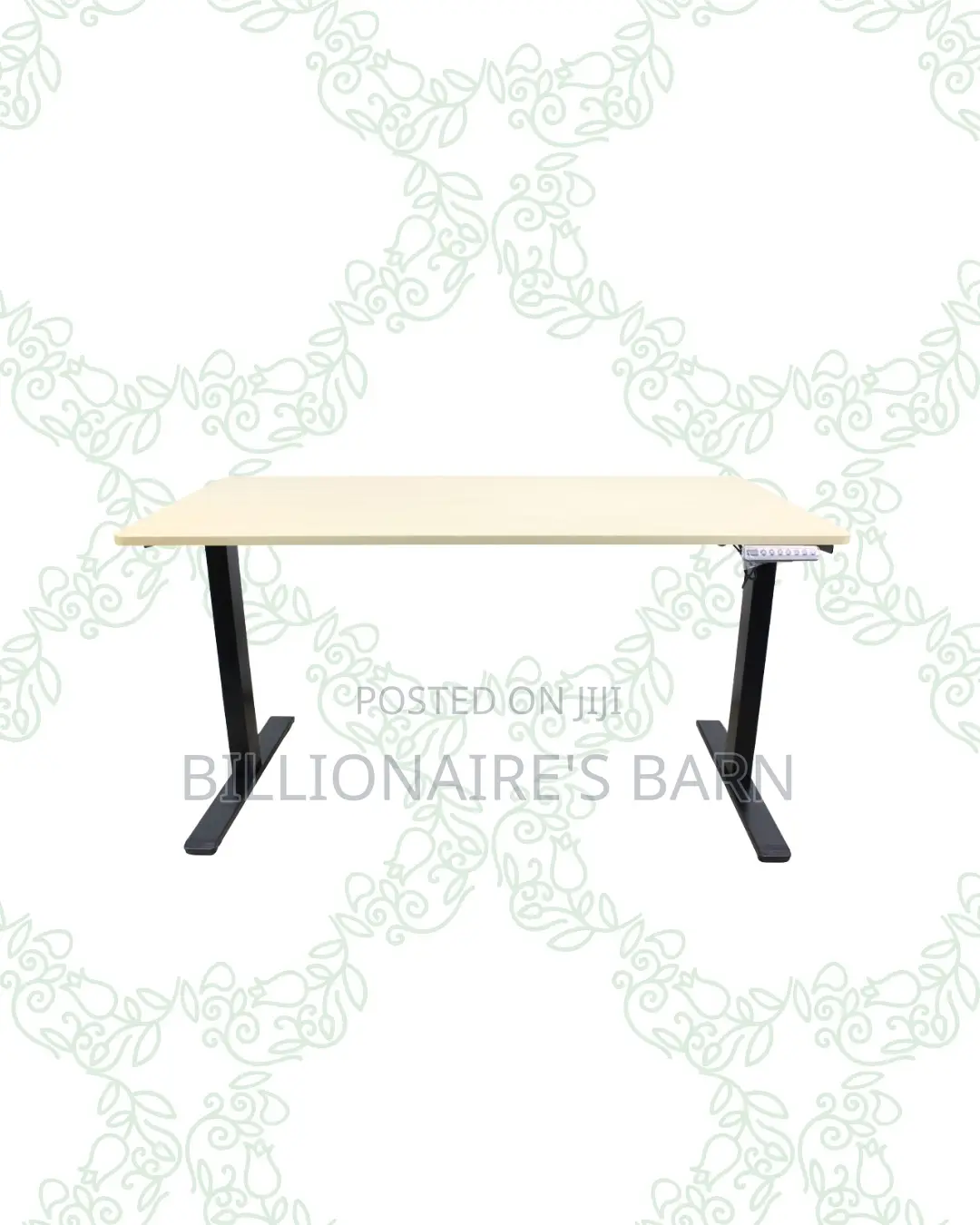 Transform Productivity -Standing Desk Clean Cable-Friendly Workspace