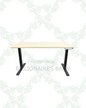 Transform Productivity -Standing Desk Clean Cable-Friendly Workspace