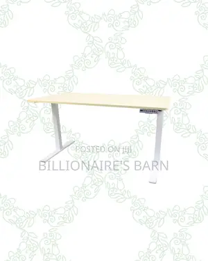 Transform Productivity -Standing Desk Clean Cable-Friendly Workspace