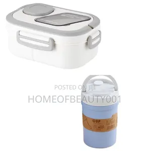 2 in One New Layered Lunch Set Box