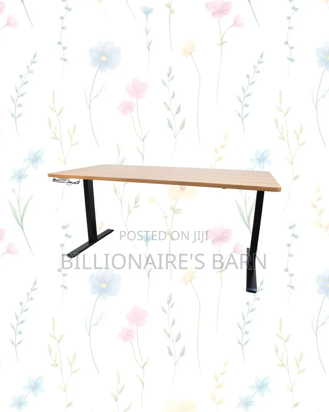 Transform Productivity -Standing Desk Clean Cable-Friendly Workspace