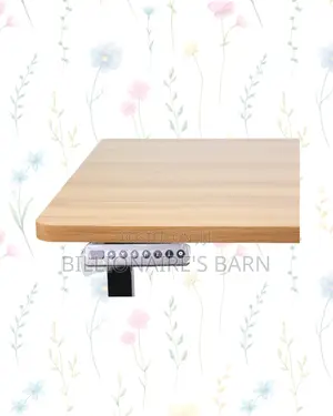 Transform Productivity -Standing Desk Clean Cable-Friendly Workspace