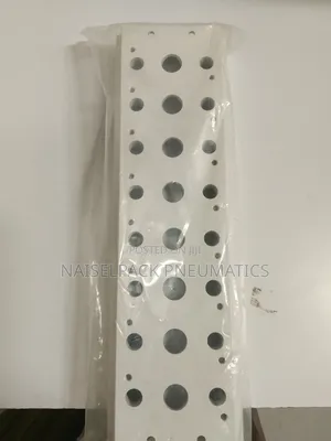Pneumatic Manifold