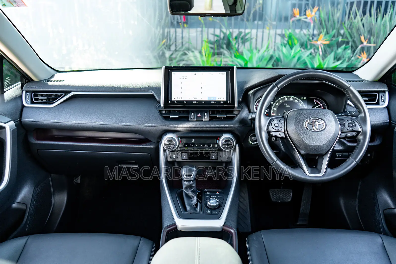 Toyota RAV4 2019 Blue