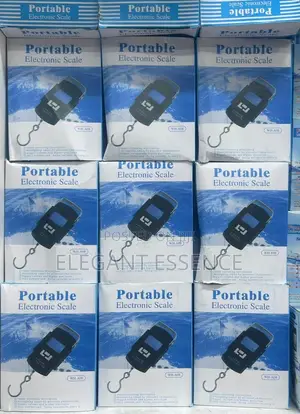 Portable 50kg Scale