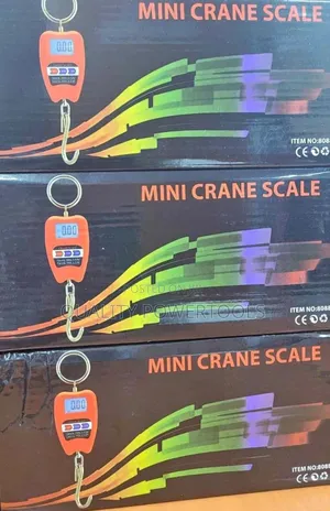 200 Kg Crane Scale