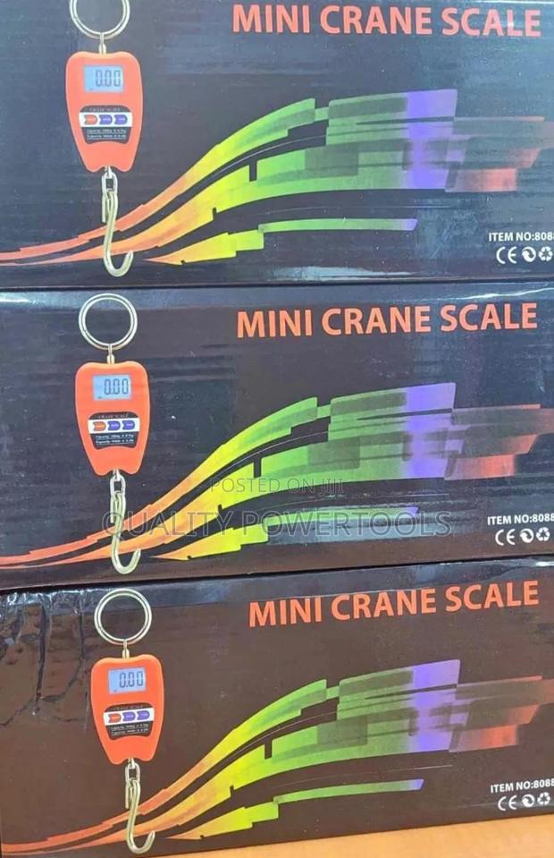 200 Kg Crane Scale