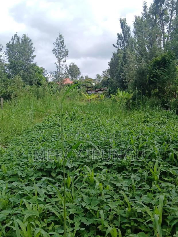 Prime Land 1/2 Acre for Sale - thumbnail 3