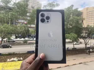 Apple iPhone 13 Pro Max 256 GB Silver