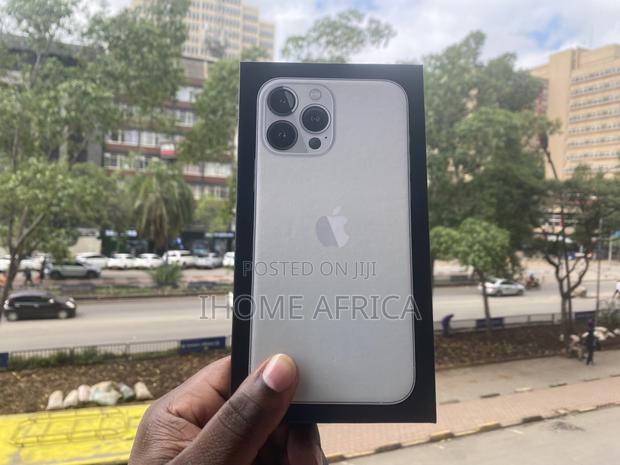 Apple iPhone 13 Pro Max 256 GB Silver