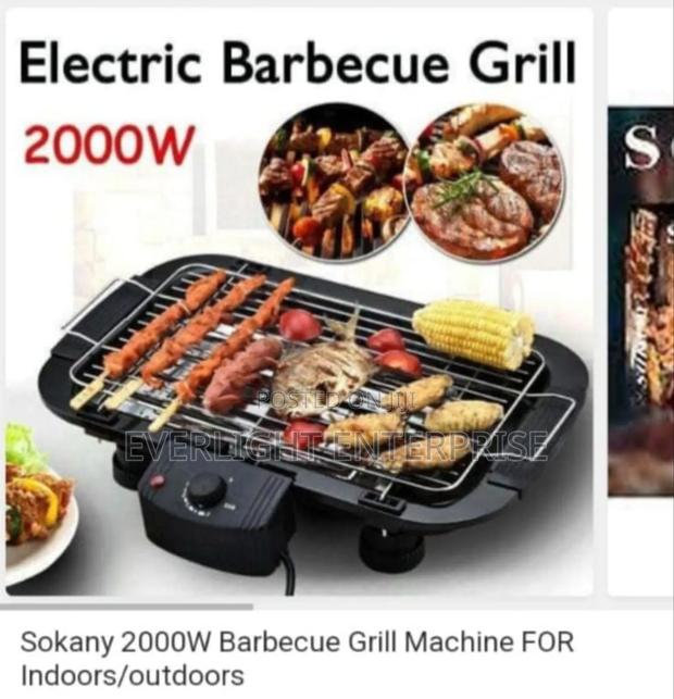Electric Barbecue Grill - main view