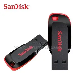 Sandisk Usb Flash Disk Drive -4gb
