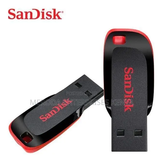 Sandisk Usb Flash Disk Drive -4gb