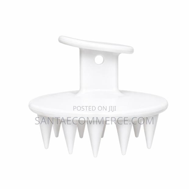 A Scalp Massager