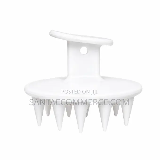 A Scalp Massager