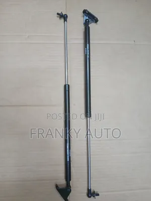 Boot Shock Toyota Probox