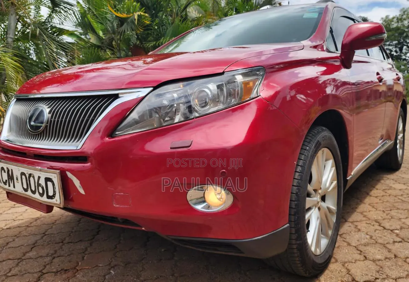 Lexus RX 2010