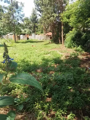 Eighth Plot for Sale at Mwea Kiarukungu Kirinyaga