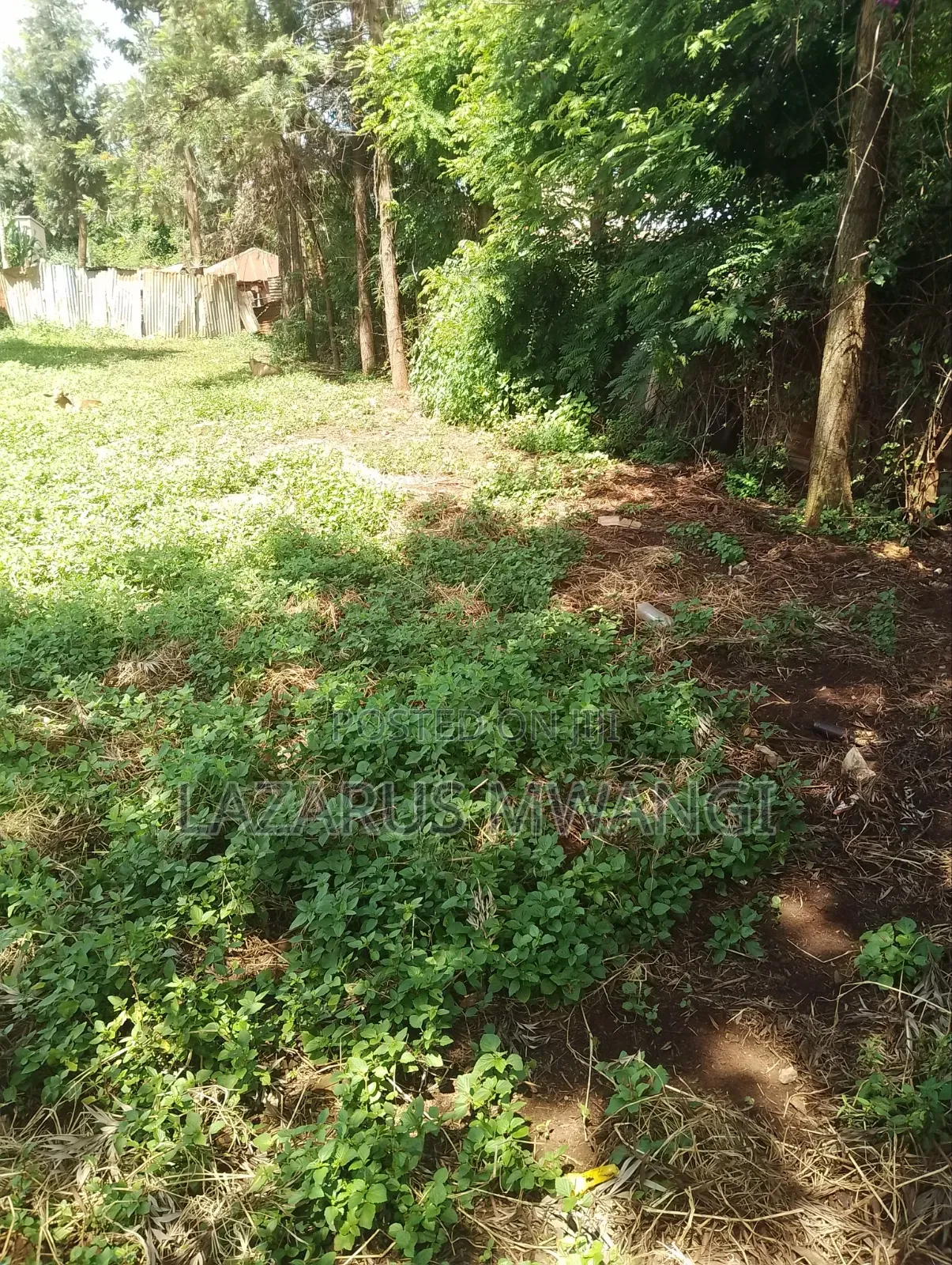 Eighth Plot for Sale at Mwea Kiarukungu Kirinyaga
