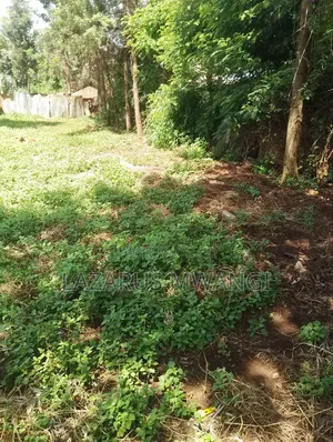 Eighth Plot for Sale at Mwea Kiarukungu Kirinyaga