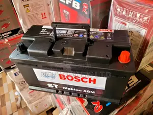 Bosch Din100mf Agm Car Battery