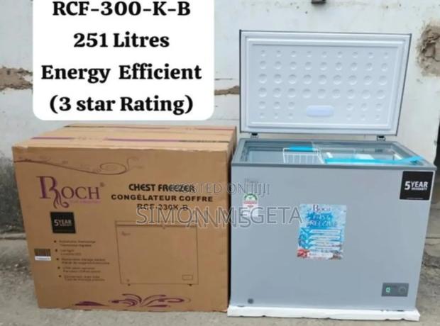 With Free Guard Roch 251l Freezer