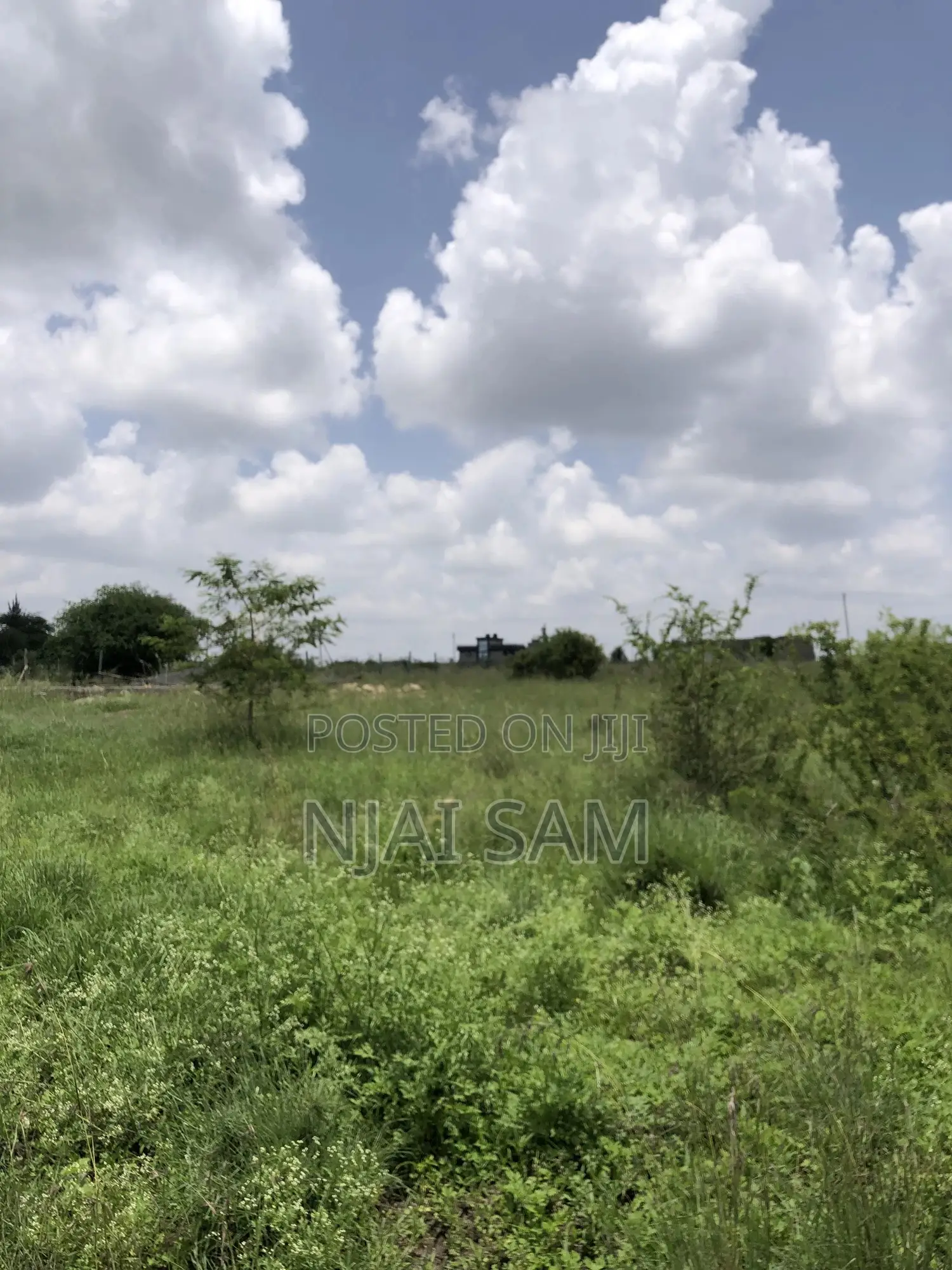 50*100 Plot for Sale.
