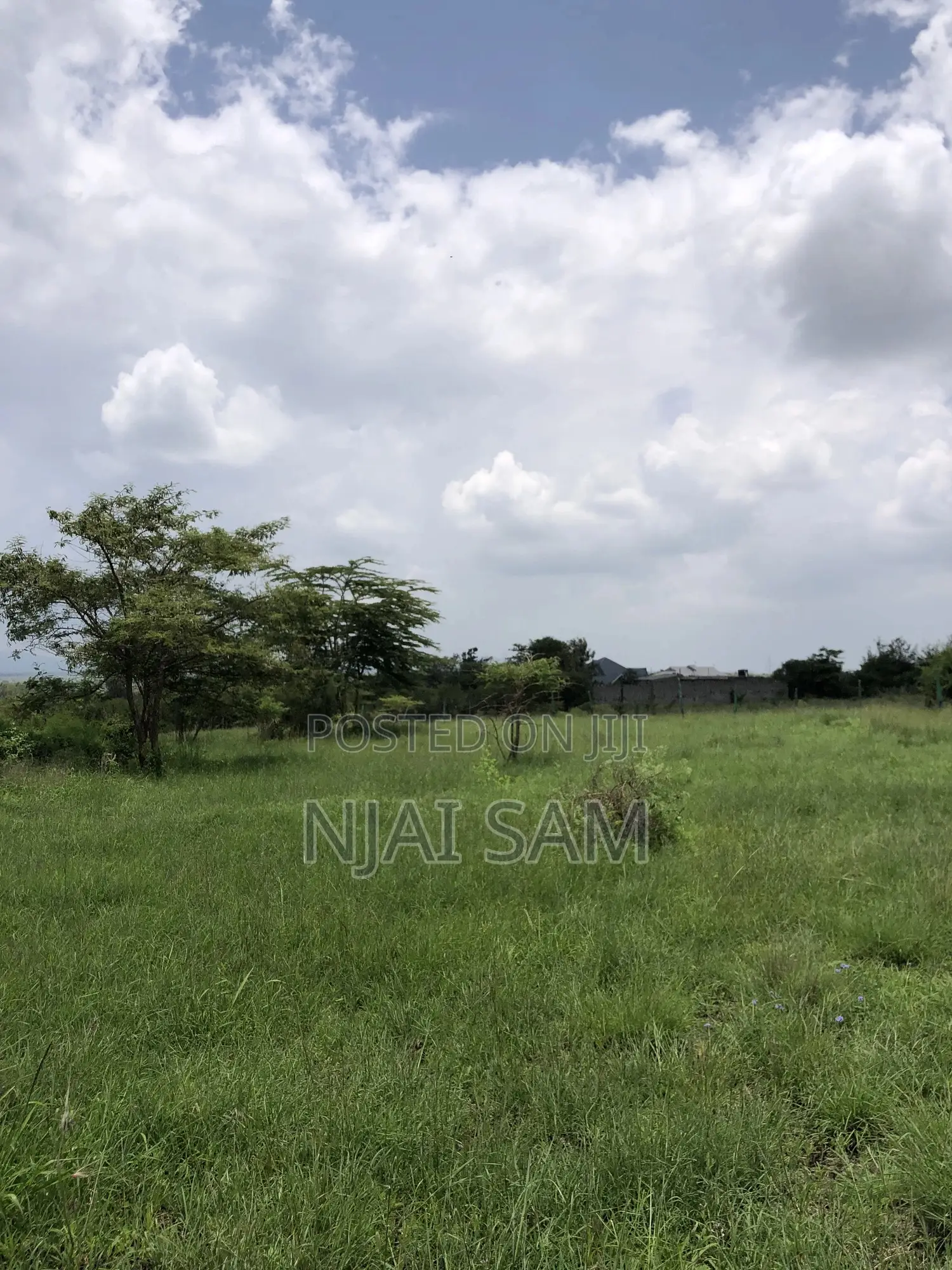 50*100 Plot for Sale.