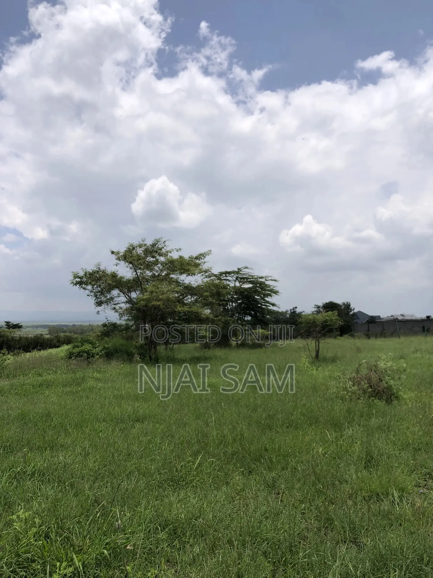 50*100 Plot for Sale.