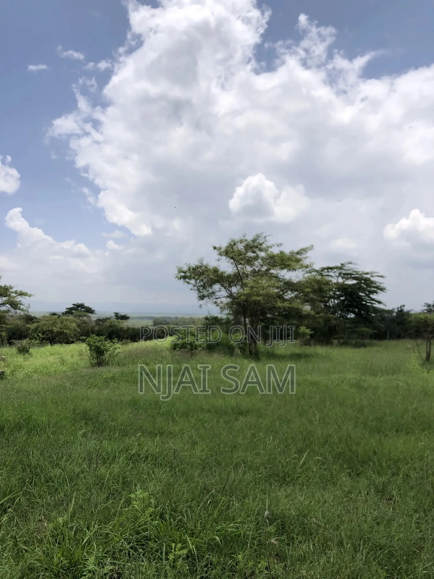50*100 Plot for Sale.