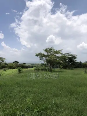 50*100 Plot for Sale.