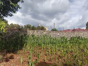 75 by 100 Plot for Sale in Gikambura Kikuyu.