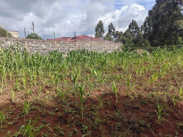 75 by 100 Plot for Sale in Gikambura Kikuyu. - thumbnail 2