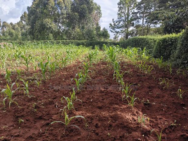 75 by 100 Plot for Sale in Gikambura Kikuyu. - thumbnail 4