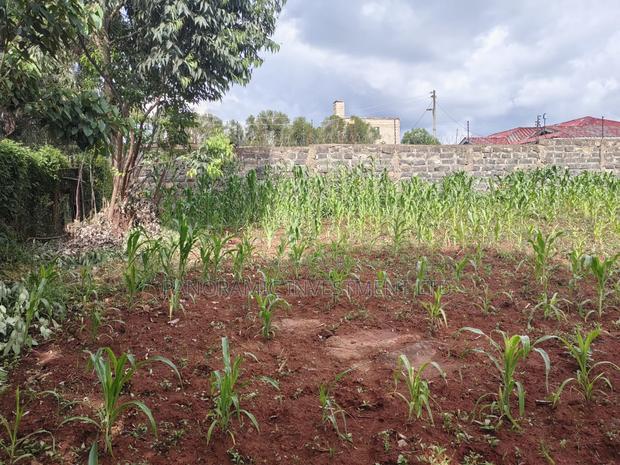75 by 100 Plot for Sale in Gikambura Kikuyu. - thumbnail 6