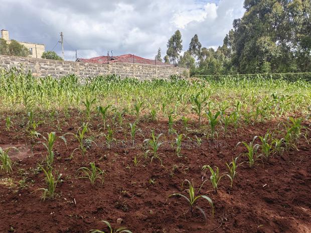 75 by 100 Plot for Sale in Gikambura Kikuyu. - thumbnail 7