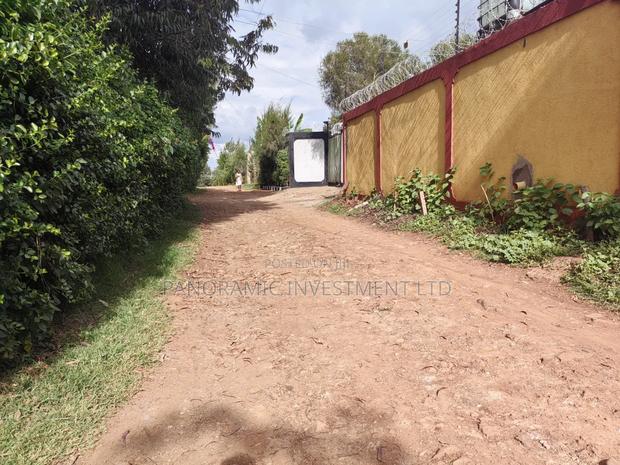 75 by 100 Plot for Sale in Gikambura Kikuyu. - thumbnail 8