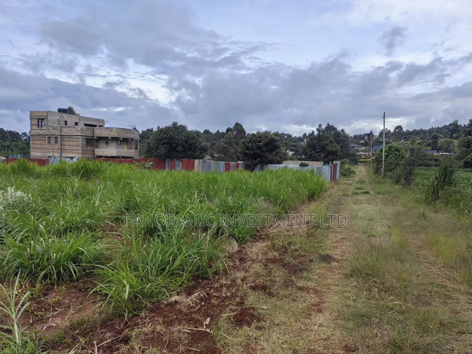 50by100 Plot on Sale in Lusegetti Kikuyu.