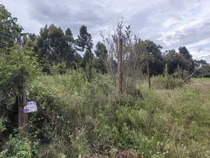50by100 Plot on Sale in Lusegetti Kikuyu.