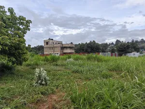 50by100 Plot on Sale in Lusegetti Kikuyu.