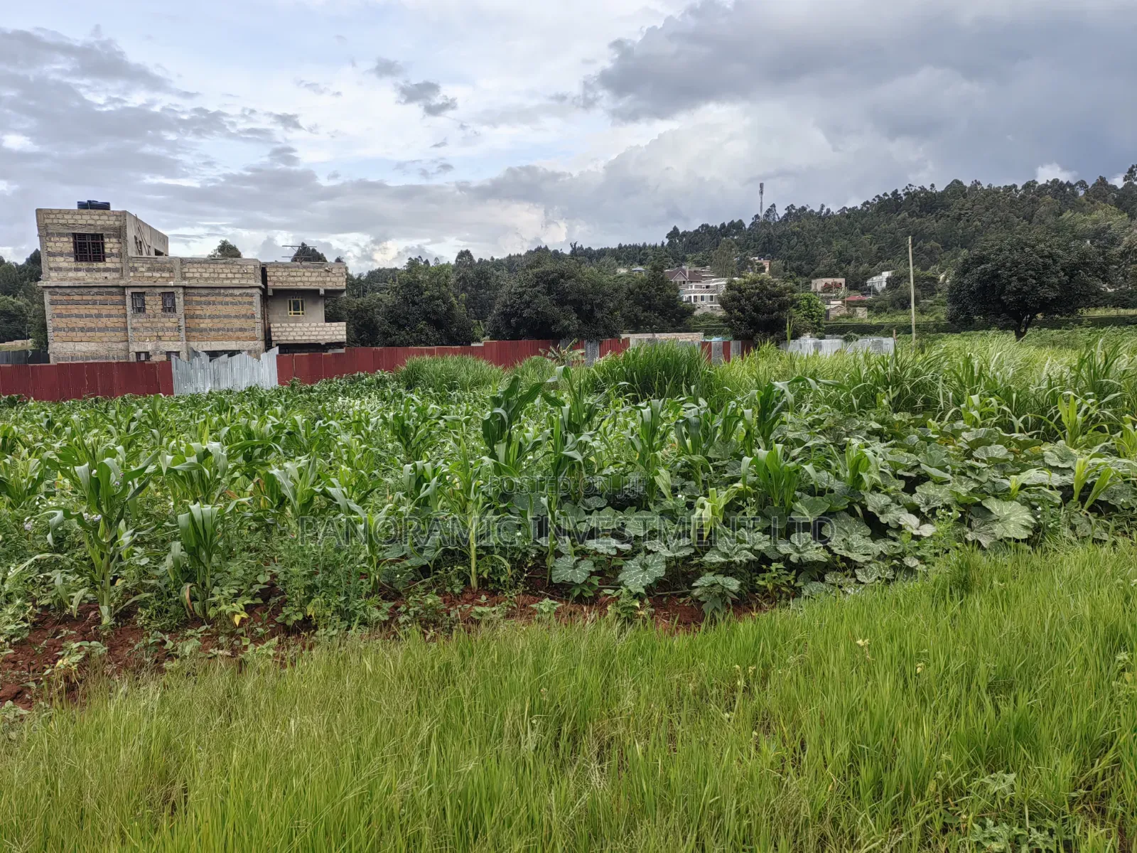 50by100 Plot on Sale in Lusegetti Kikuyu.