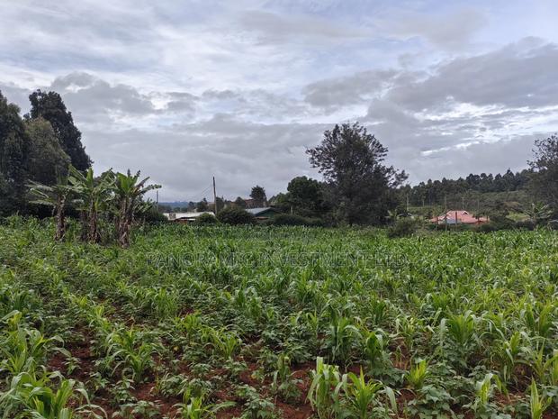 50by100 Plot on Sale in Lusegetti Kikuyu. - thumbnail 7